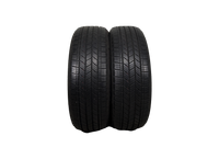 Bridgestone Alenza Sport a/s <br> 235 50 21 <br><small><b>TIRE #59</b></small>