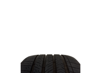 MICHELIN PILOT SPORT ALL SEASON 4 <br> 255 35 ZR21 <br><small><b>TIRE #9</b></small>